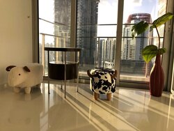 Eon Shenton (D2), Apartment #452510201